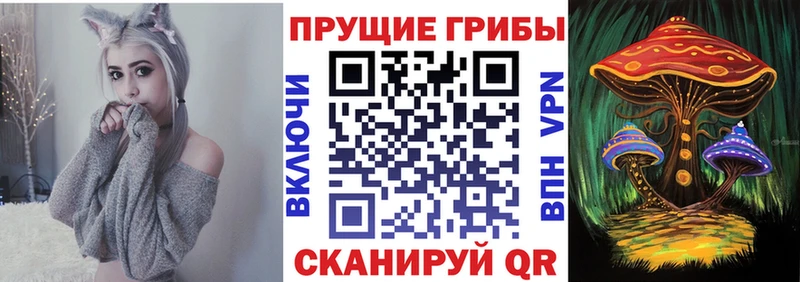 Галлюциногенные грибы мицелий  Кодинск 